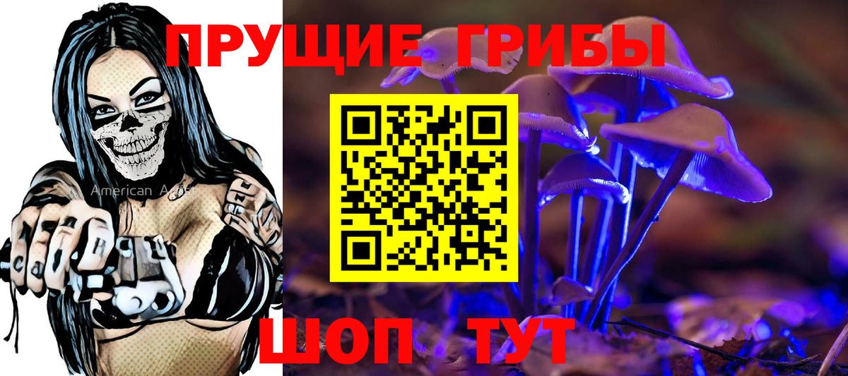 Галлюциногенные грибы MAGIC MUSHROOMS  Вход с VPN  Тамбов 
