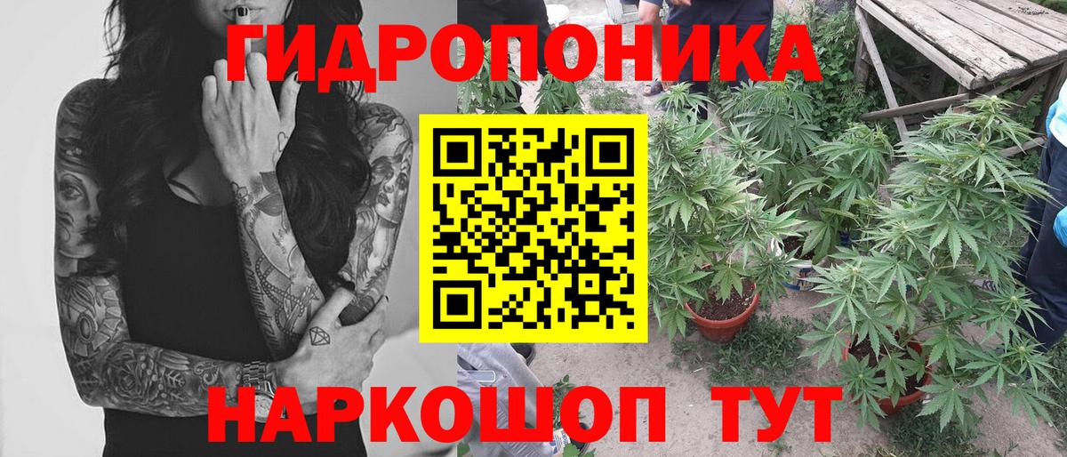 МАРИХУАНА планчик Тамбов